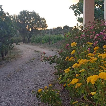 Vila Agriturismo Muristene Dorgali Exteriér fotografie
