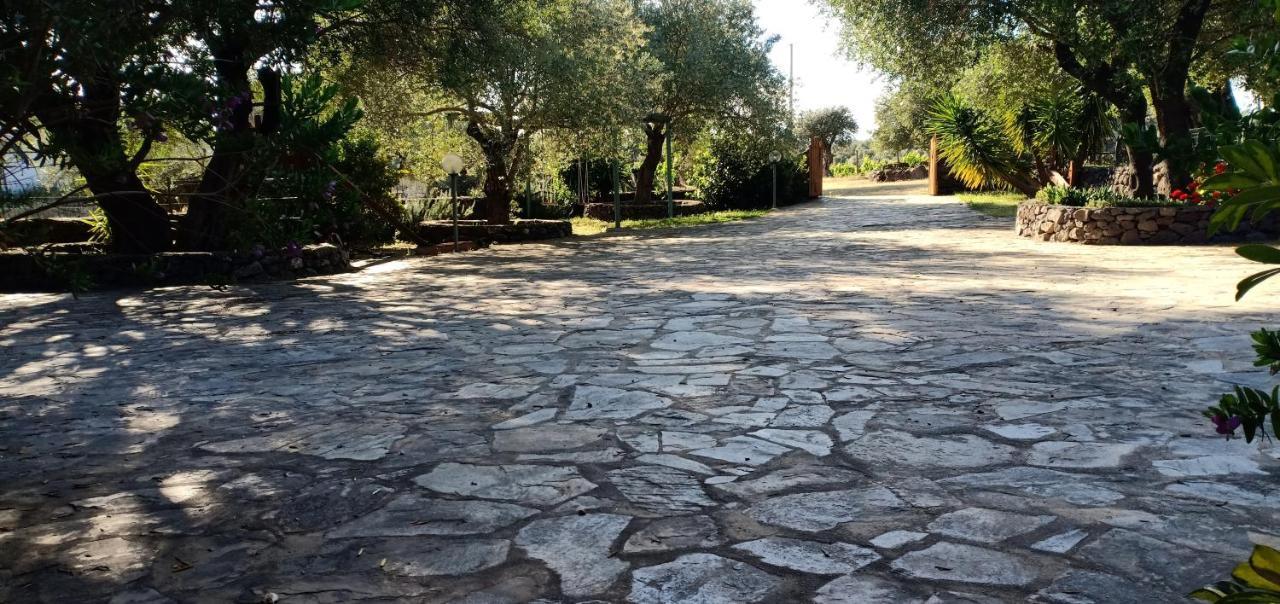 Vila Agriturismo Muristene Dorgali Exteriér fotografie
