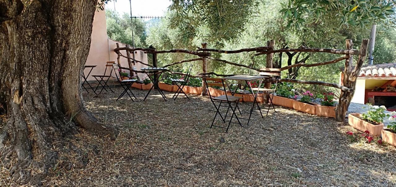 Vila Agriturismo Muristene Dorgali Exteriér fotografie