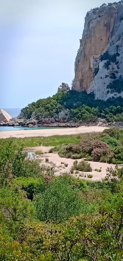 Vila Agriturismo Muristene Dorgali Exteriér fotografie