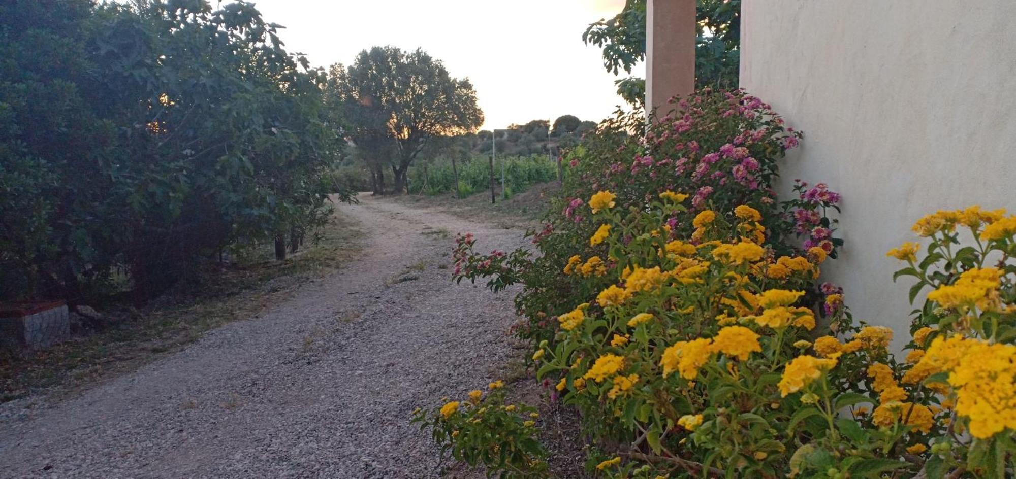 Vila Agriturismo Muristene Dorgali Exteriér fotografie