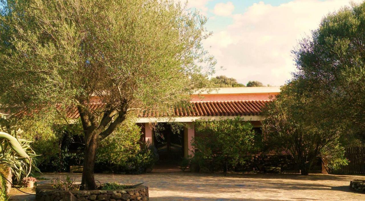 Vila Agriturismo Muristene Dorgali Exteriér fotografie